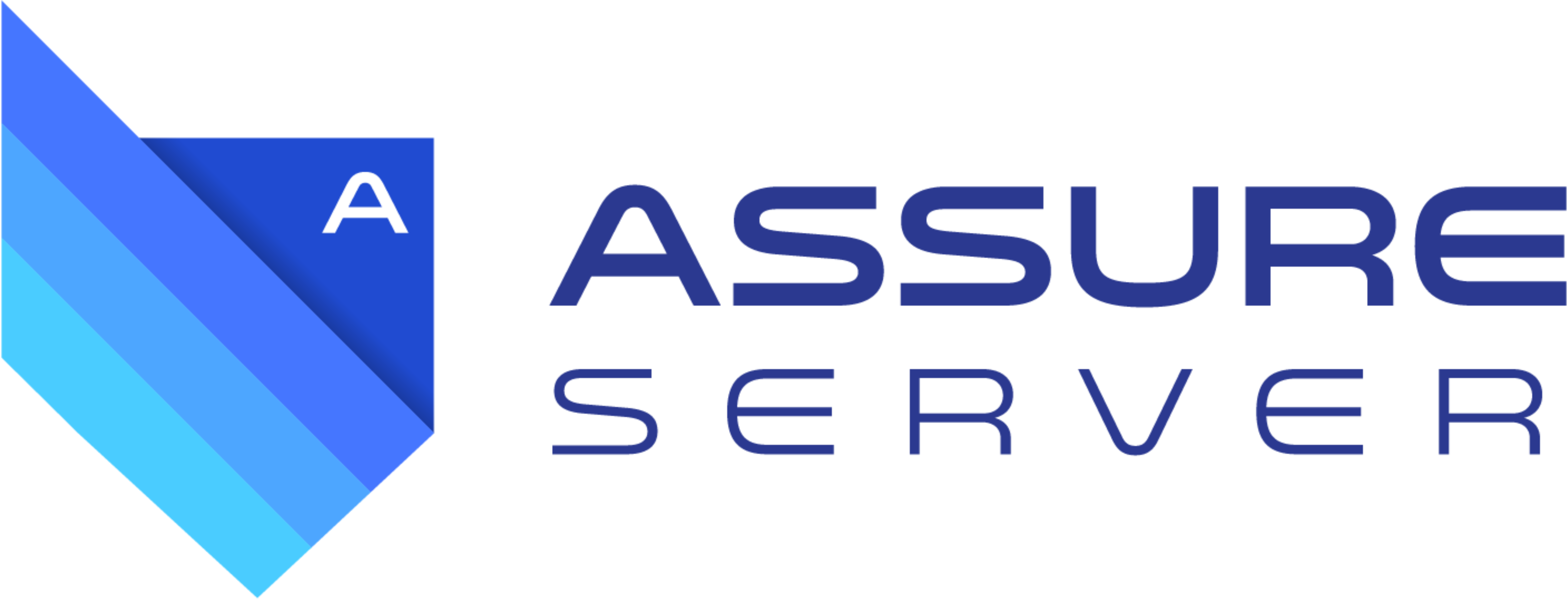 Assure Server LLC